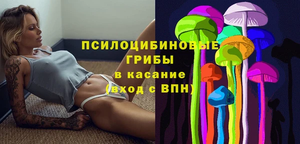 дмт Михайловск